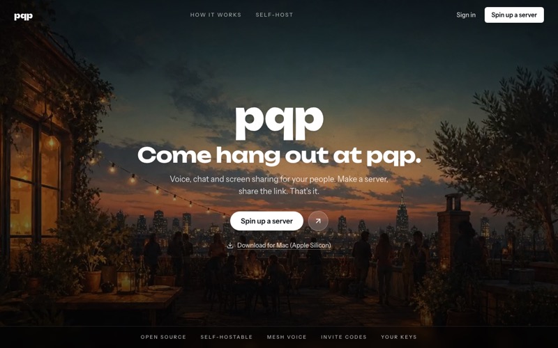 pqp screenshot: Open-source Discord alternative